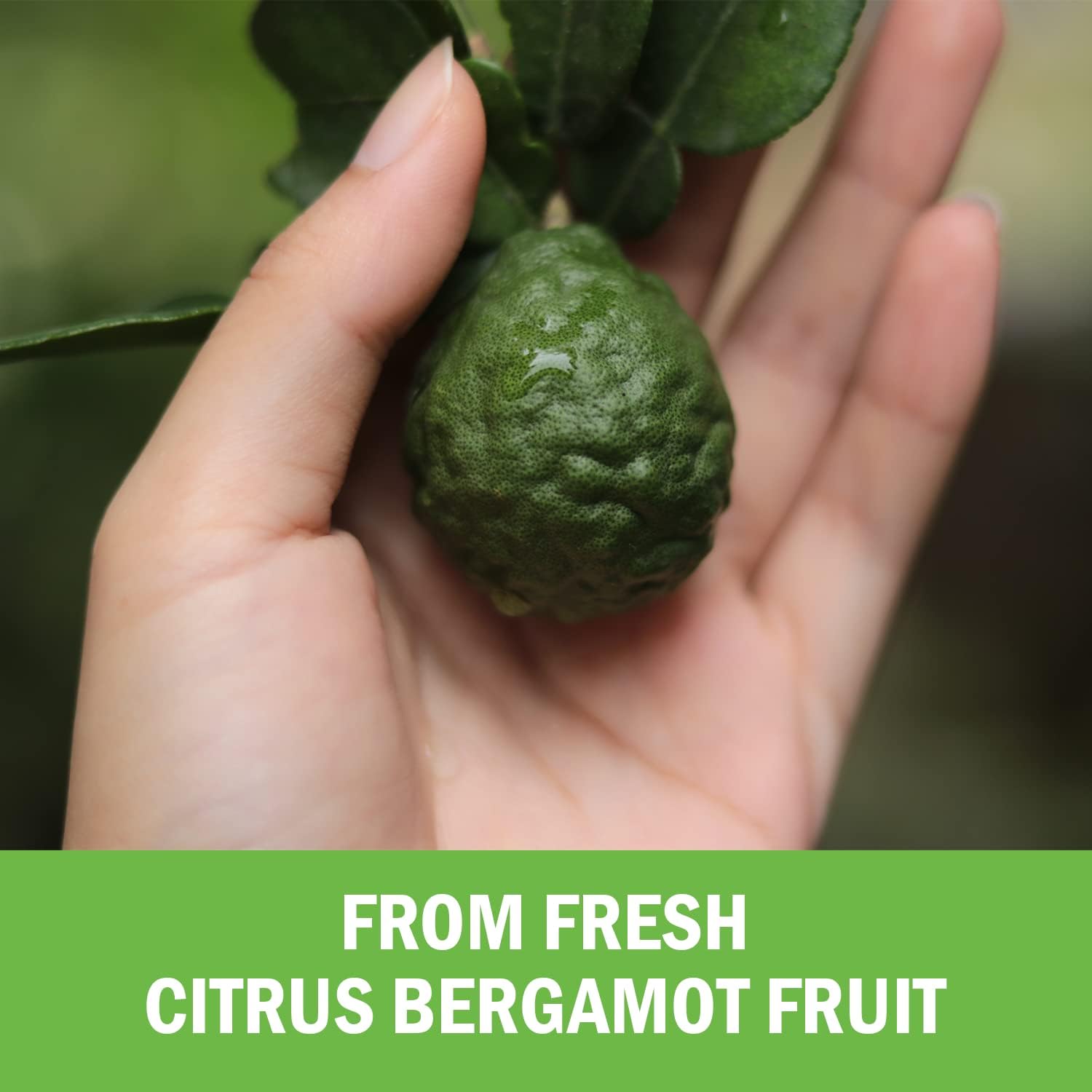 Citrus Bergamot 1000Mg - Citrus Bergamot Supplement For Cholesterol And Heart Health - Ultra Concentrated From Fresh Fruit For Enhanced Absorption - Vegan, Non-Gmo, Gluten-Free - 120 Mini Capsules : Health & Household
