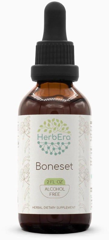Boneset B120 Alcohol-Free Herbal Extract Tincture, Super-Concentrated Boneset (Eupatorium Perfoliatum) Dried Herb (4 Fl Oz)