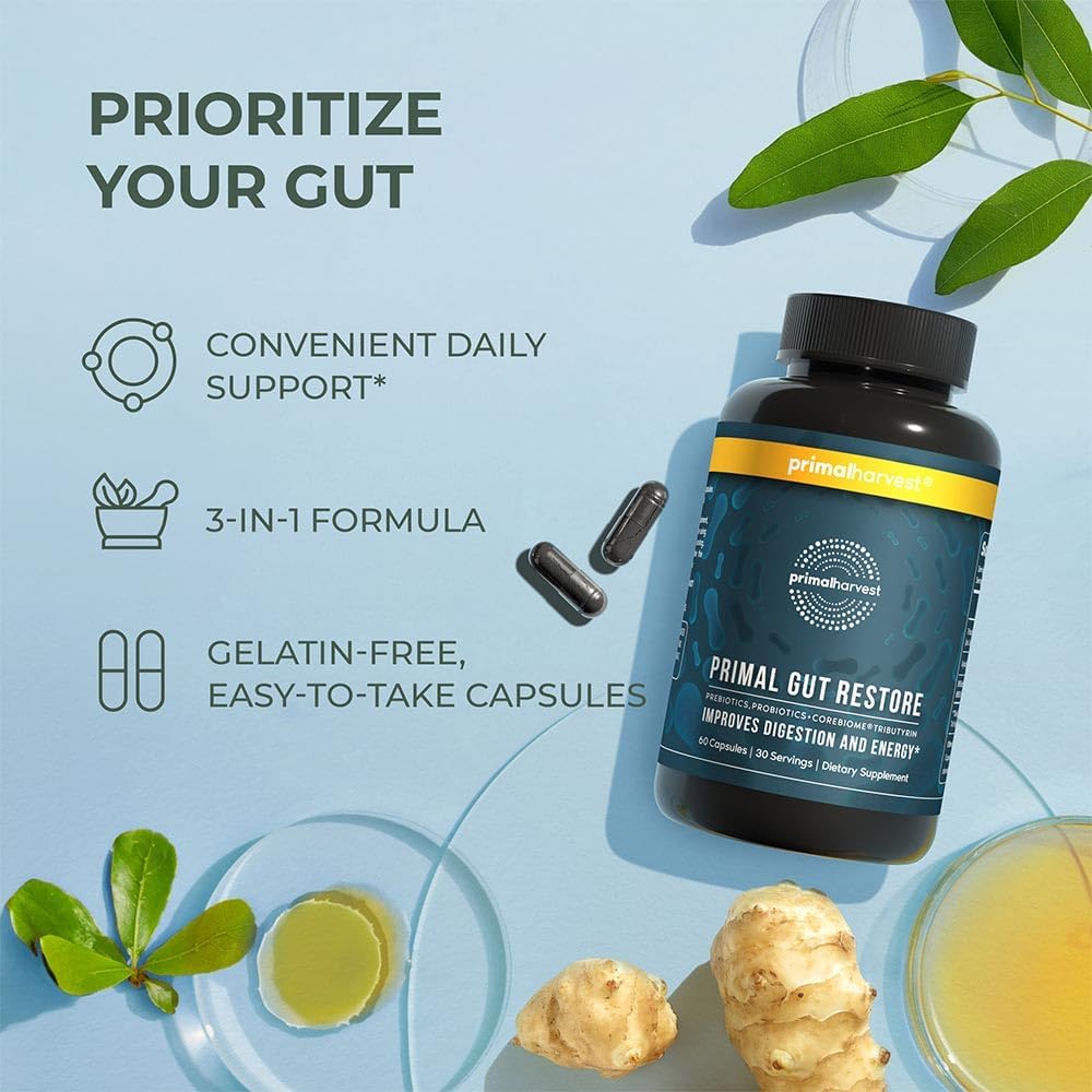 Primal Harvest Restore for Gut Health, Primal Gut Restore w/POSTbiotics, PREbiotics and PRObiotics for Women and Men, 60 CT - Digestion, Colon Cleanse, Immunity Support - Helps Leaky Gut Repair : Health & Household