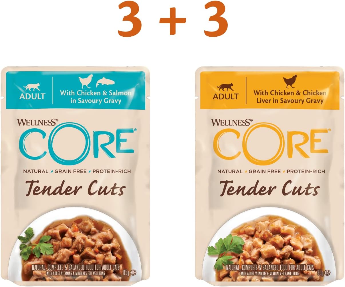 Wellness CORE Tender Cuts, Wet Cat Food, Cat Food Wet with Tender Pieces in Sauce, Grain Free, High Meat Content, Chicken Selection Mix, 6 x 85 g :Pet Supplies