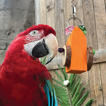 Buoy Chewable Foraging Parrot Toy