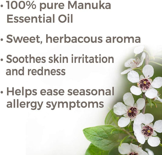 Plant Therapy Manuka Essential Oil 10 Ml (1/3 Oz) 100% Pure, Undiluted, Therapeutic Grade