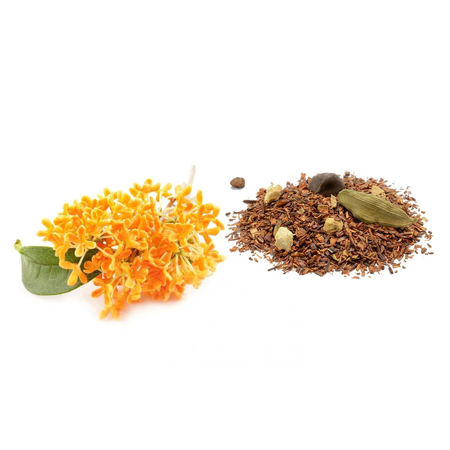 Derek Lam 10 Crosby Rain Day, Eau De Parfum, Woody And Aromatic Scent, Spray Perfume For Women, 5.9 Oz : Clothing, Shoes & Jewelry