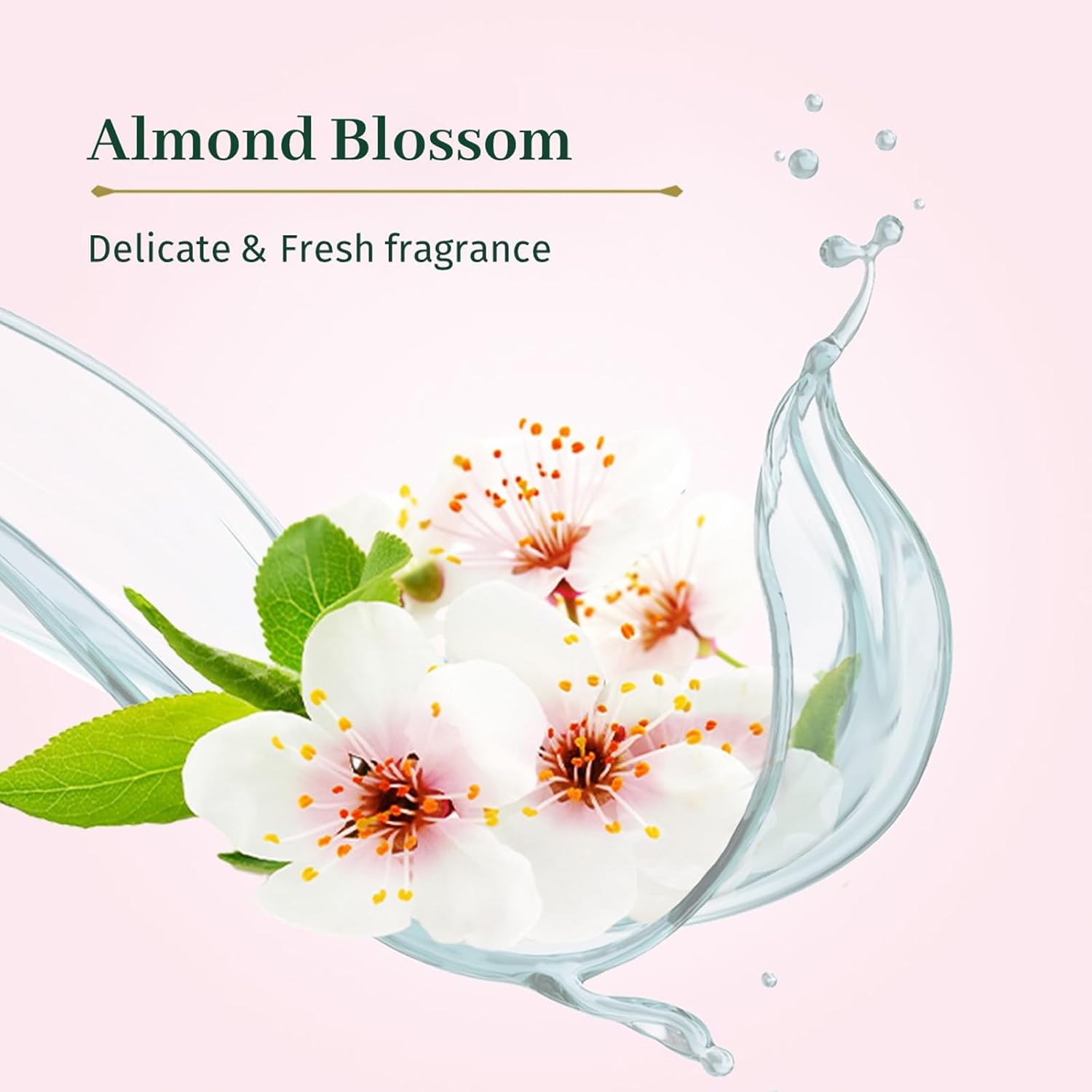 Le Petit Olivier Shower Cream - Jasmine Blackcurrant - Gently Cleanses Skin - Fresh And Moisturizing - Ph Neutral - Dermatologically Tested - Free Of Soap And Dyes - 8.4 Oz : Beauty & Personal Care
