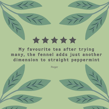 Hampstead Tea Organic Fairtrade, Fennel Liquorice Tea, 20 Count Sachet