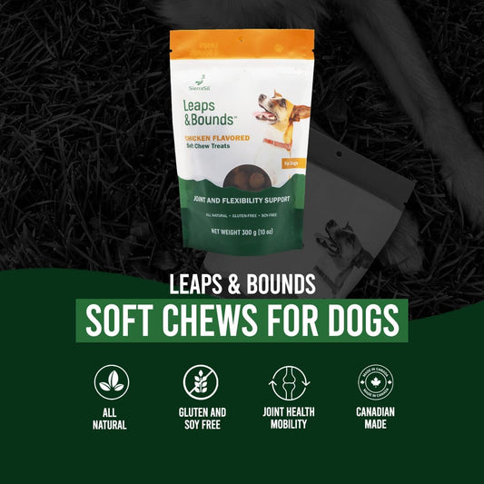Sierrasil® Leaps & Bounds – Chicken Flavored Soft Chews For Dogs, Joints & Flexibility Support, Great Tasting Treats, Gluten-Free, Soy-Free - 300 G (10 Oz)