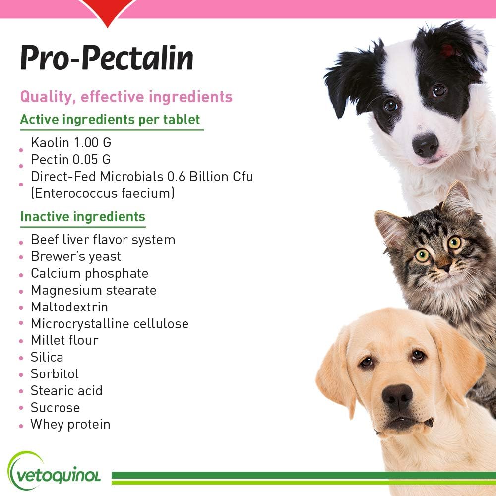 Vetoquinol Pro-Pectalin Chewable Tablets for Dogs & Cats – 250ct, Beef Liver Flavor – Helps Reduce Occasional Loose Stool & Diarrhea, Balance Gut pH, Support Normal Digestion & Intestinal Flora : Pet Digestive Remedies : Pet Supplies
