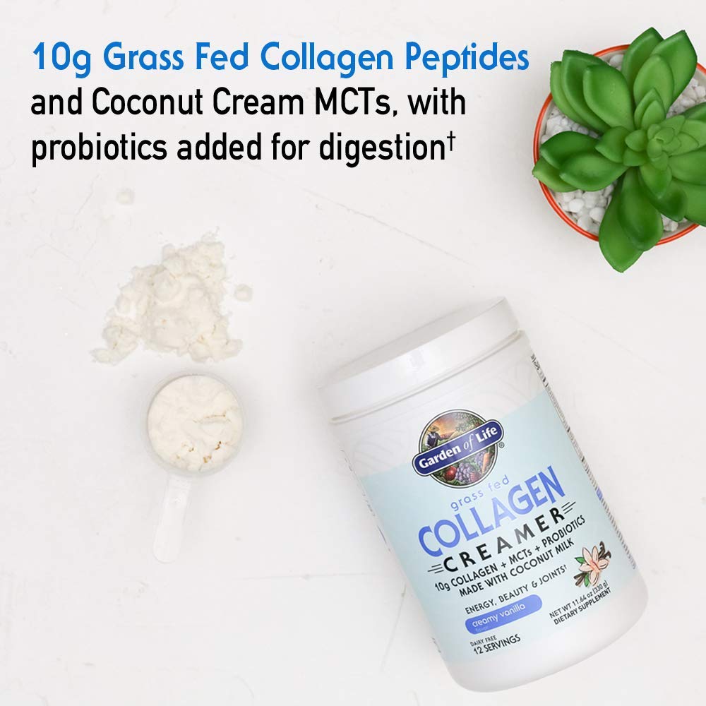 Garden Of Life Grass Fed Collagen Creamer Powder - Vanilla, 12 Servings, Collagen Powder For Coffee Energy Beauty Joints, Coconut Mcts, Keto Protein Supplements