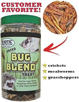 Bug Blend - Healthy High-Protein Dried Insect Treat - Crickets, Mealworms, Grasshoppers - Sugar Gliders, Hedgehogs, Squirrels, Chickens, Skunks, Opossums, Marmosets, Parrots, Birds (1.71 oz.) : Pet Supplies