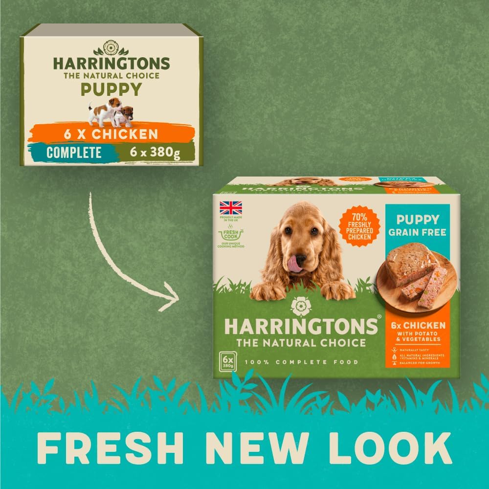Harringtons Complete Wet Tray Grain Free Hypoallergenic Puppy Food 6x380g - Chicken & Potato- Made with All Natural Ingredients :Pet Supplies