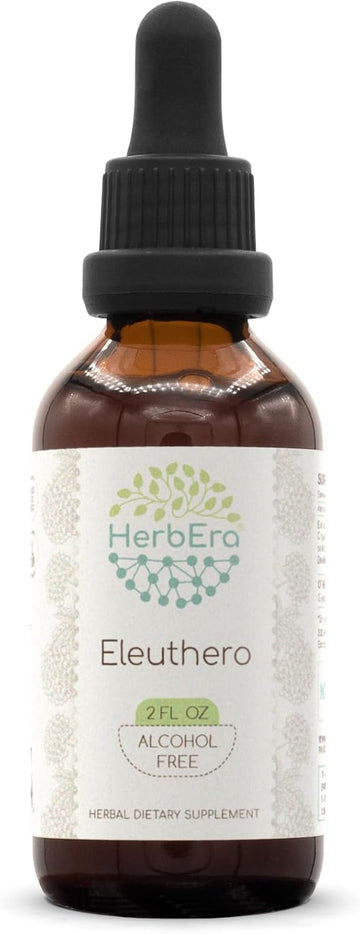 Eleuthero B120 Alcohol-Free Herbal Extract Tincture, Concentrated Liquid Drops Natural (Eleutherococcus Senticosus, Siberian Ginseng) 4 Fl Oz