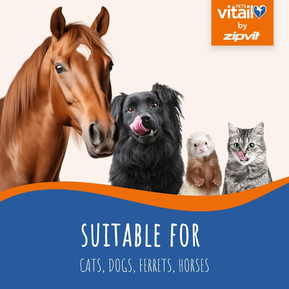 Zipvit Salmon Oil for Dogs 1 Litre, 100% Pure Scottish Salmon Oil. Natural Omega 3, 6 & 9 Supplement for Dogs and Cats. Supports Healthy Coat and Skin and Maintains Joint and Brain Health. : Amazon.co.uk: Pet Supplies