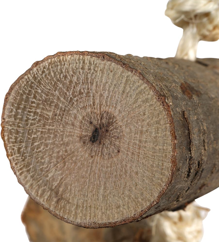 Naturals Log Block Stackers Parrot Toy - Large :Pet Supplies