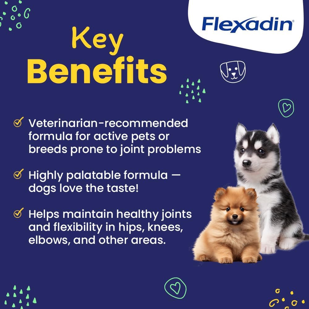 Vetoquinol Flexadin Hip and Joint Supplement with Glucosamine for Dogs, Joint Support Chew with Green-Lipped Mussel and MSM, 90-Count : Pet Supplies