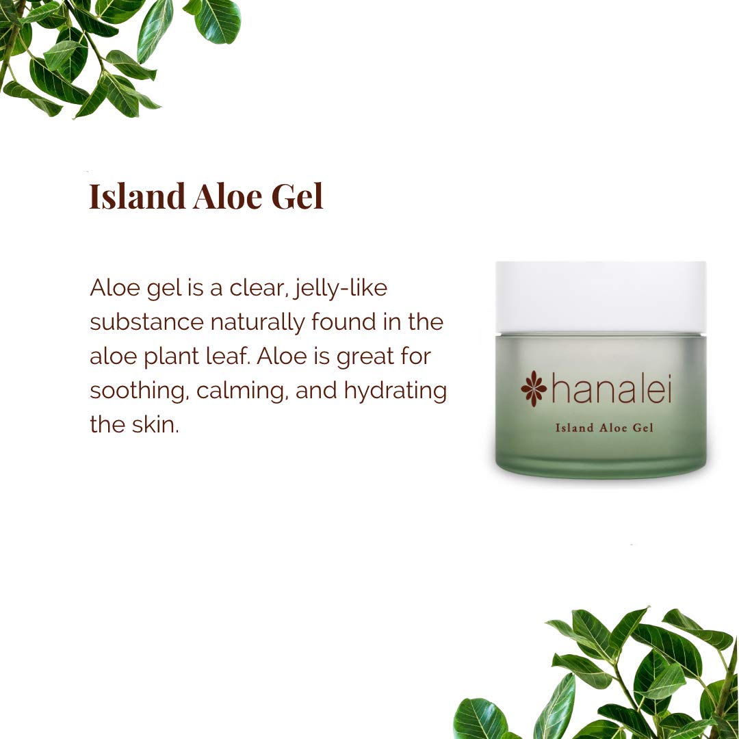 Hanalei Aloe E Hawaiian Face Wash and Cooling Island Aloe Gel Moisturizer | Made with Hawaiian Botanicals | Cruelty-Free : Beauty & Personal Care