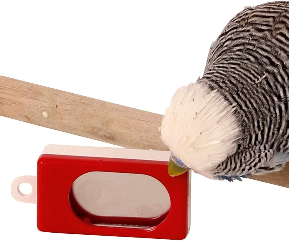 Training Clicker for Parrots and pet birds and animals training device