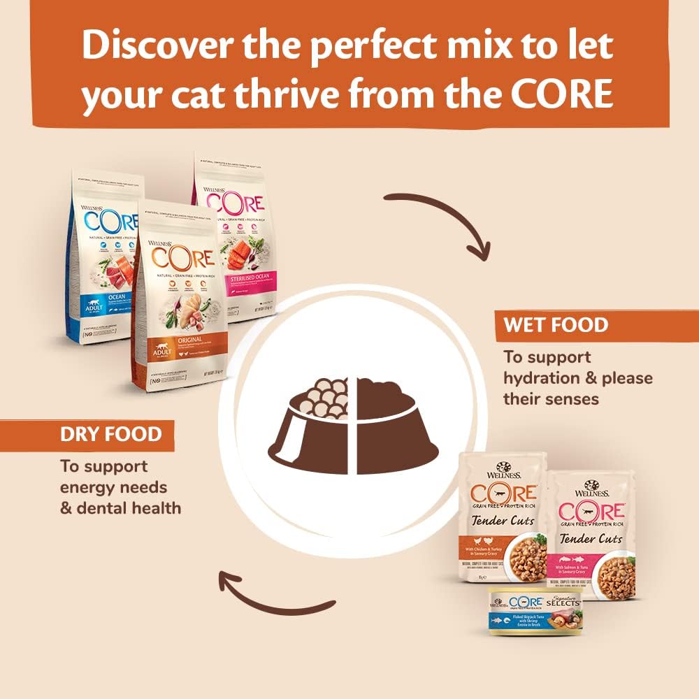 Wellness CORE Kitten Original, Dry Cat Food, Kitten Food Dry, Grain Free, High Meat Content, Chicken & Turkey, 300 g :Pet Supplies