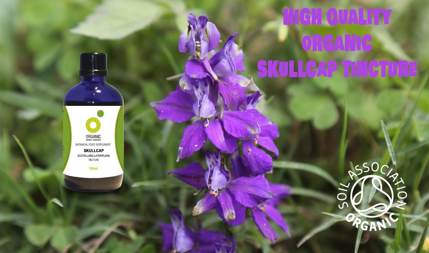Organic Herbal Remedies 100ml Skullcap Tincture : Amazon.co.uk: Health & Personal Care