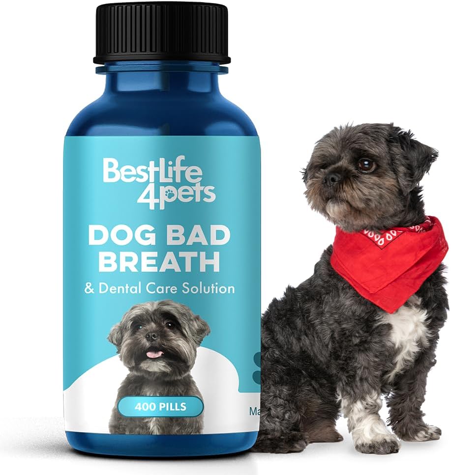 BestLife4Pets Dog Bad Breath & Dental Care, Natural Oral Care for Dogs Gums, Gingivitis, Tooth Pain, Easy to Use Dog Breath Freshener, Plaque Remover & Pet Teeth Cleaning Pill, Hide in a Chew or Treat