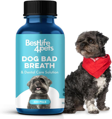 BestLife4Pets Dog Bad Breath & Dental Care, Natural Oral Care for Dogs Gums, Gingivitis, Tooth Pain, Easy to Use Dog Breath Freshener, Plaque Remover & Pet Teeth Cleaning Pill, Hide in a Chew or Treat