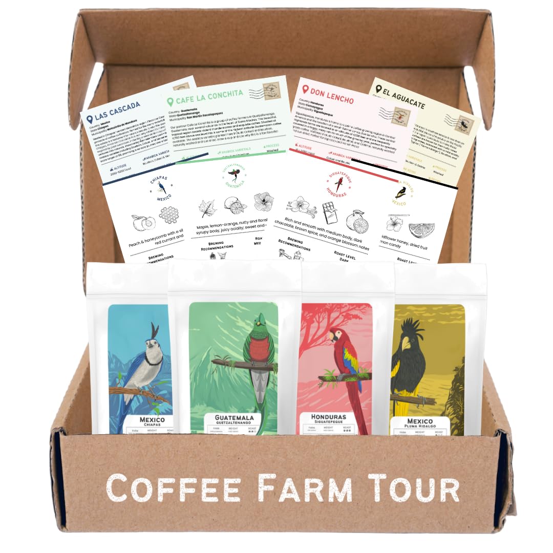 Canopy Point Coffee | Ground Coffee Sample Pack | Gourmet Coffee Sampler | Single Origin Coffee Gift Set | Sampler Gift Box Set | Coffee Gifts | Specialty Coffee Gift Basket | 4 Pack Variety Set Sampler (Ground)