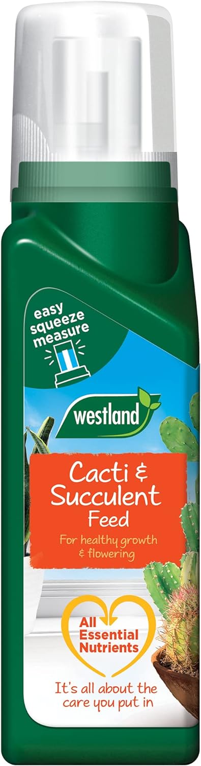 Westland 20100353 Cacti & Succulent Plant Feed Concentrate, 200 ml?20100353