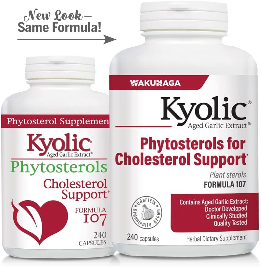 Kyolic Aged Garlic Extract Formula 107, Phytosterols for Cholesterol Support, 240 Capsules (Packaging May Vary) : Health & Household