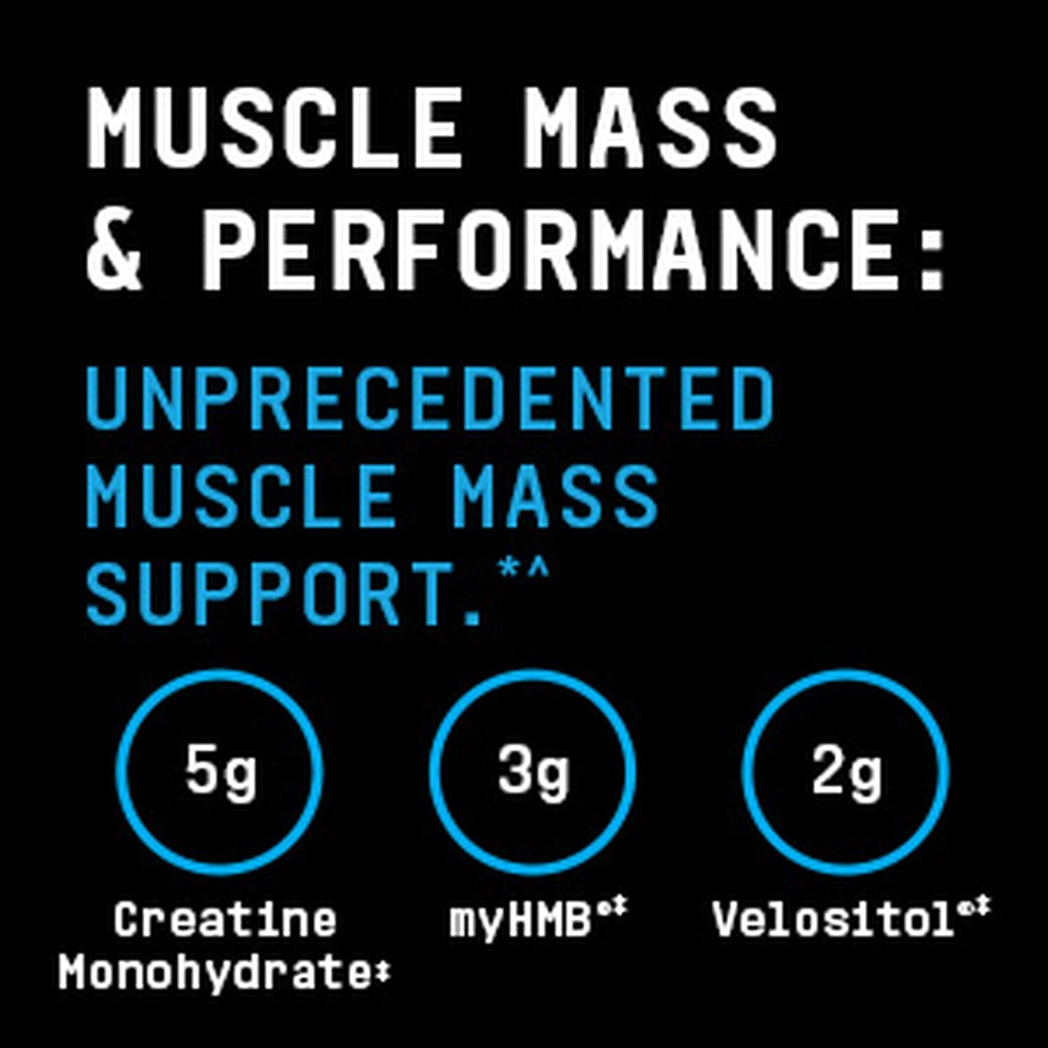 BEYOND RAW Dynamic Gainer | High-Tech Mass Gainer | Optimized Absorption, Enhanced Strength, and Joint Stability | Chocolate Éclair | 15 Servings : Health & Household