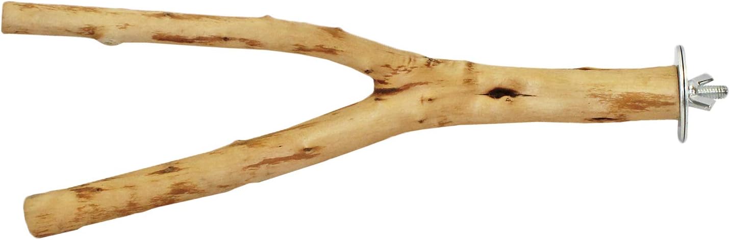 Natural Branch (Forked) - Durable Multi-Branch Perch Stand Cage Accessory - Sugar Gliders, Squirrels, Prairie Dogs, Degus, Marmosets, Monkeys, Parrots, Birds, Rats, Reptiles, Amphibians & Small Pets