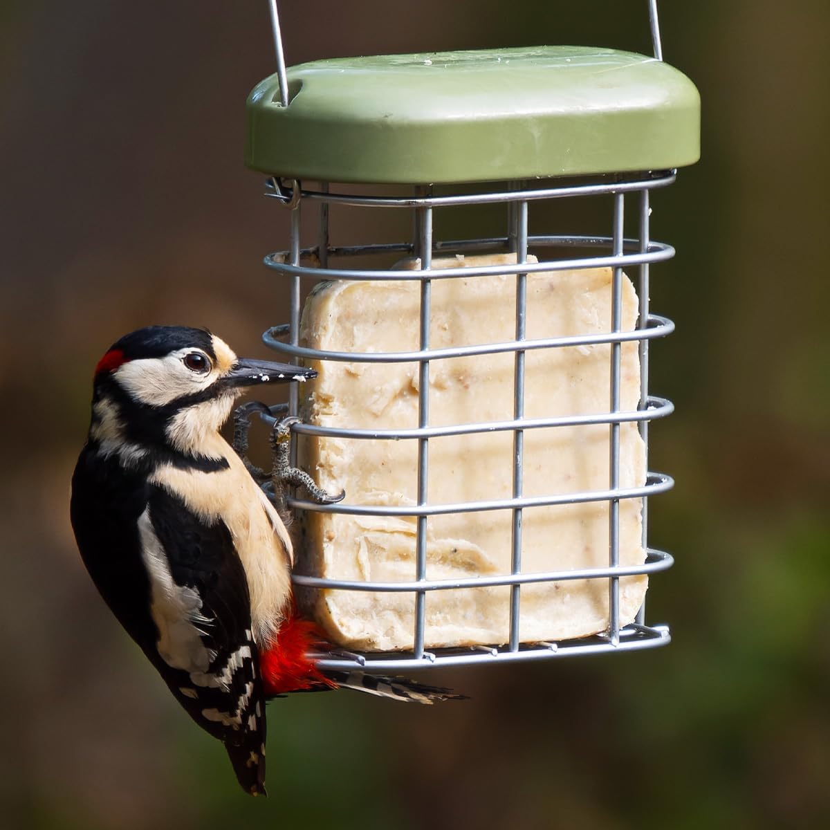 Suet Blocks For Wild Birds - Jacobi Jayne® See the Difference™ Wild Bird Food - Pack of 2 x 340g - Bird Food Suet Blocks with Mixed Seed - 100% British & Irish Beef Suet :Garden