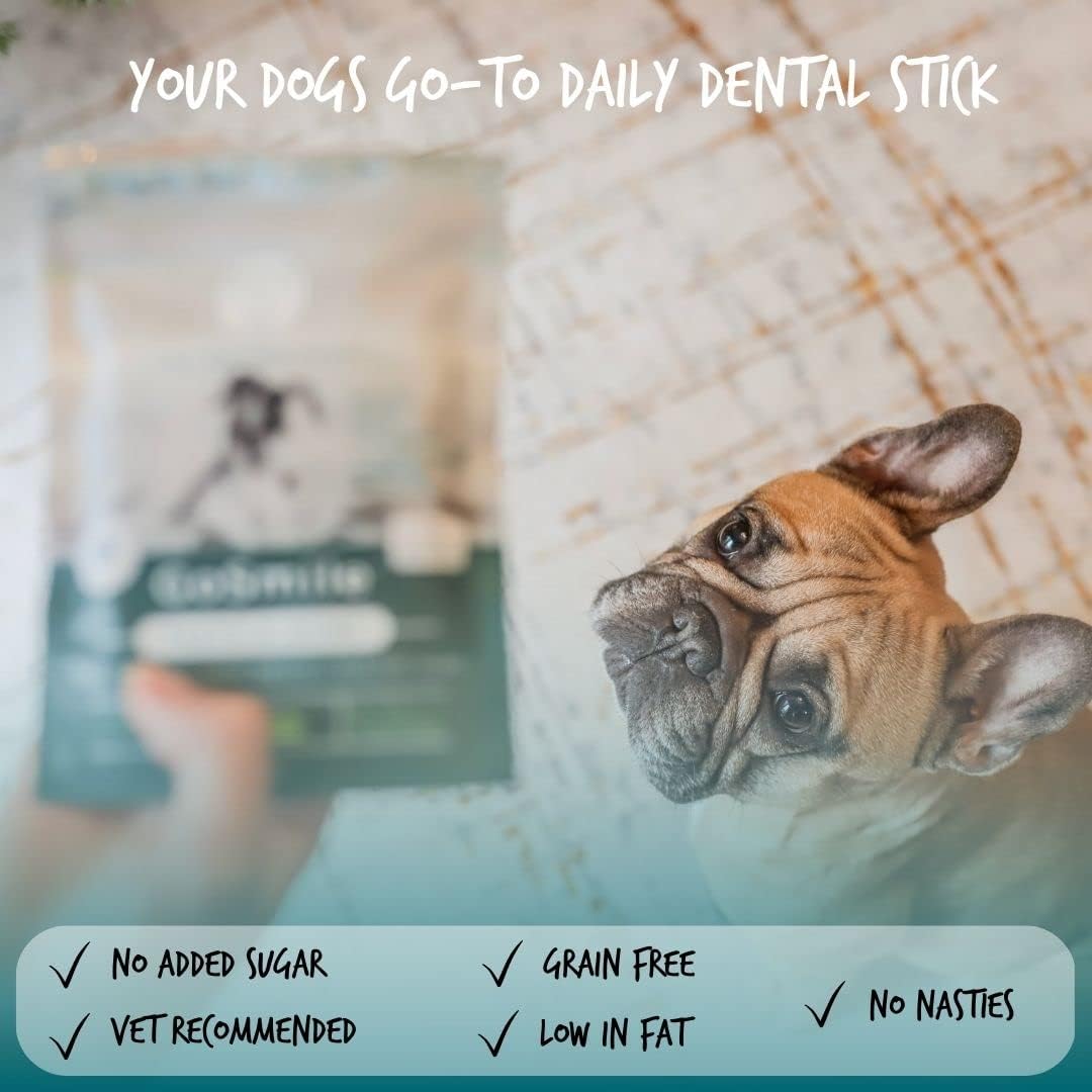 Blue Pet Co - GoSmile Teeth & Gums Supplement for Dogs - Promotes Oral Health, Fresh Breath & Healthy Gums - Enriched with Seaweed Extract PhytoDent - Rich in Chicken - 4 Sticks : Amazon.co.uk: Pet Supplies
