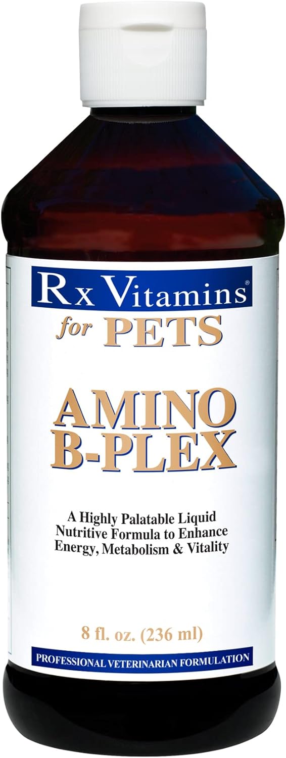 Rx Vitamins for Pets Amino B-Plex for Dogs & Cats - Healthy Nutrients Enhance Energy Metabolism & Vitality - Bacon Flavor 8 fl. oz. : Pet Supplies