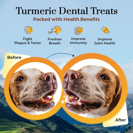 Dogsee Himalayan Yak Milk Dog Chews with Turmeric Value Pack 2lb (Large - 8 Chews) | Anti-inflammatory | Great for Oral Hygiene | Odorless Dental Dog Treats