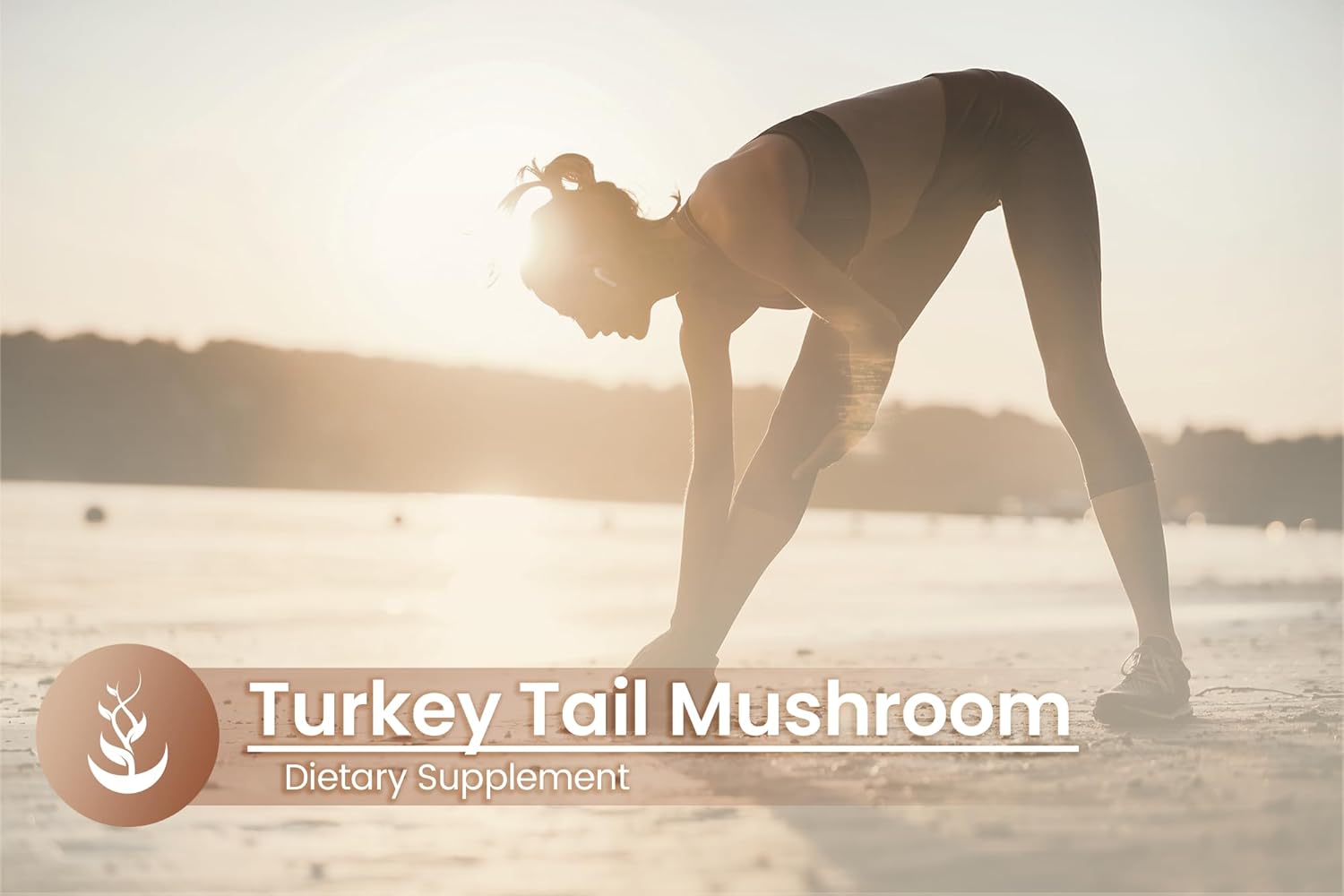 Pure Original Ingredients Turkey Tail Mushroom, (100 Capsules) Always Pure, No Additives Or Fillers, Lab Verified : Health & Household