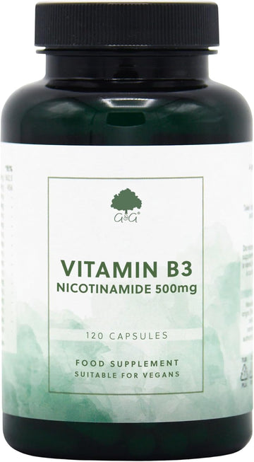 Vitamin B3 Nicotinamide 500Mg | Non-Flush High Strength Vitamin B3 | 120 Vegan Capsules | G&G Vitamins (Pack Of 2)