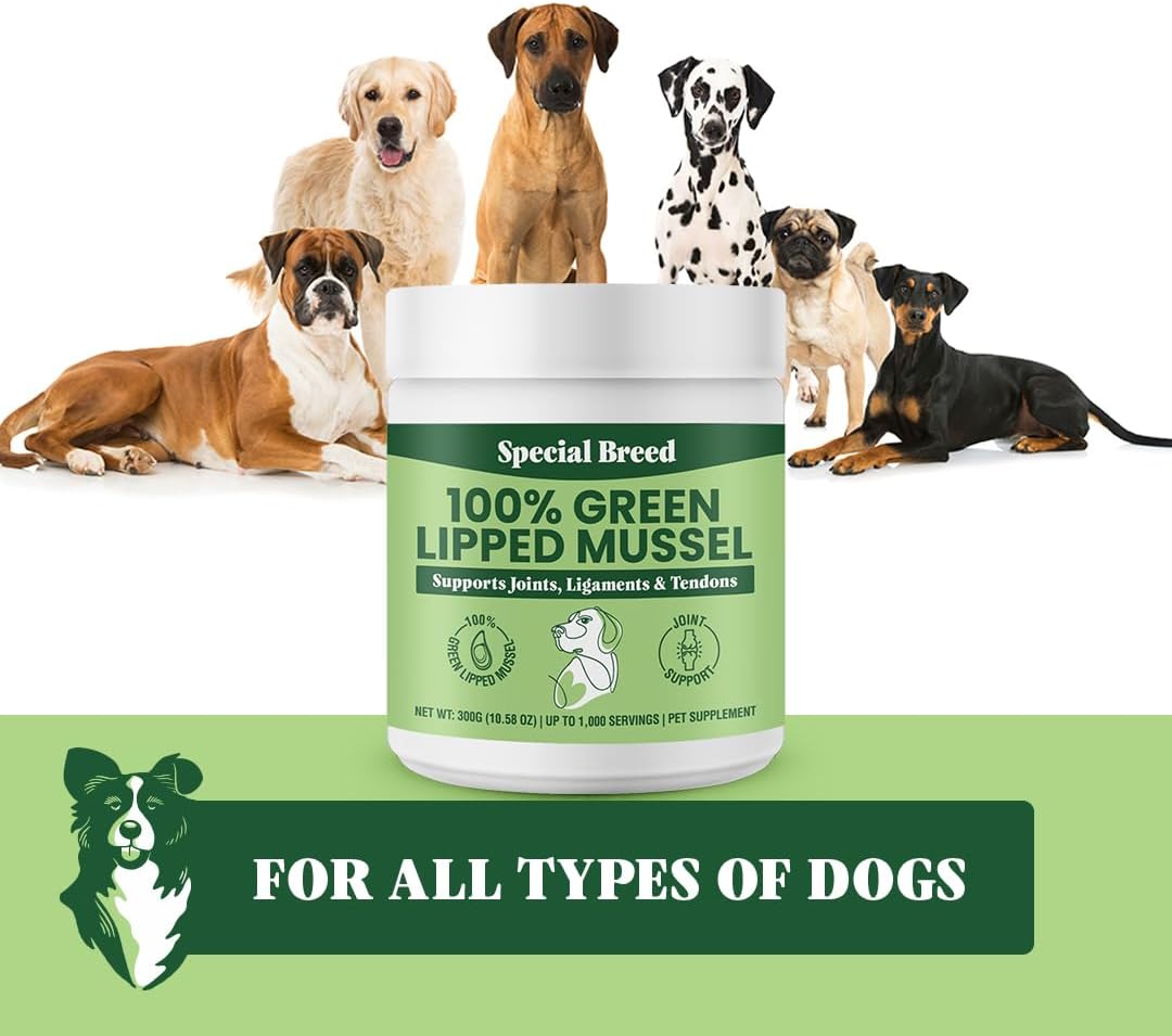 Special Breed Green Lipped Mussels for Dogs & Cats - Premium Joint Supplement Powder for HIPS, Joints, and Muscles (300 Grams, Up to 1,000 Servings) : Pet Supplies