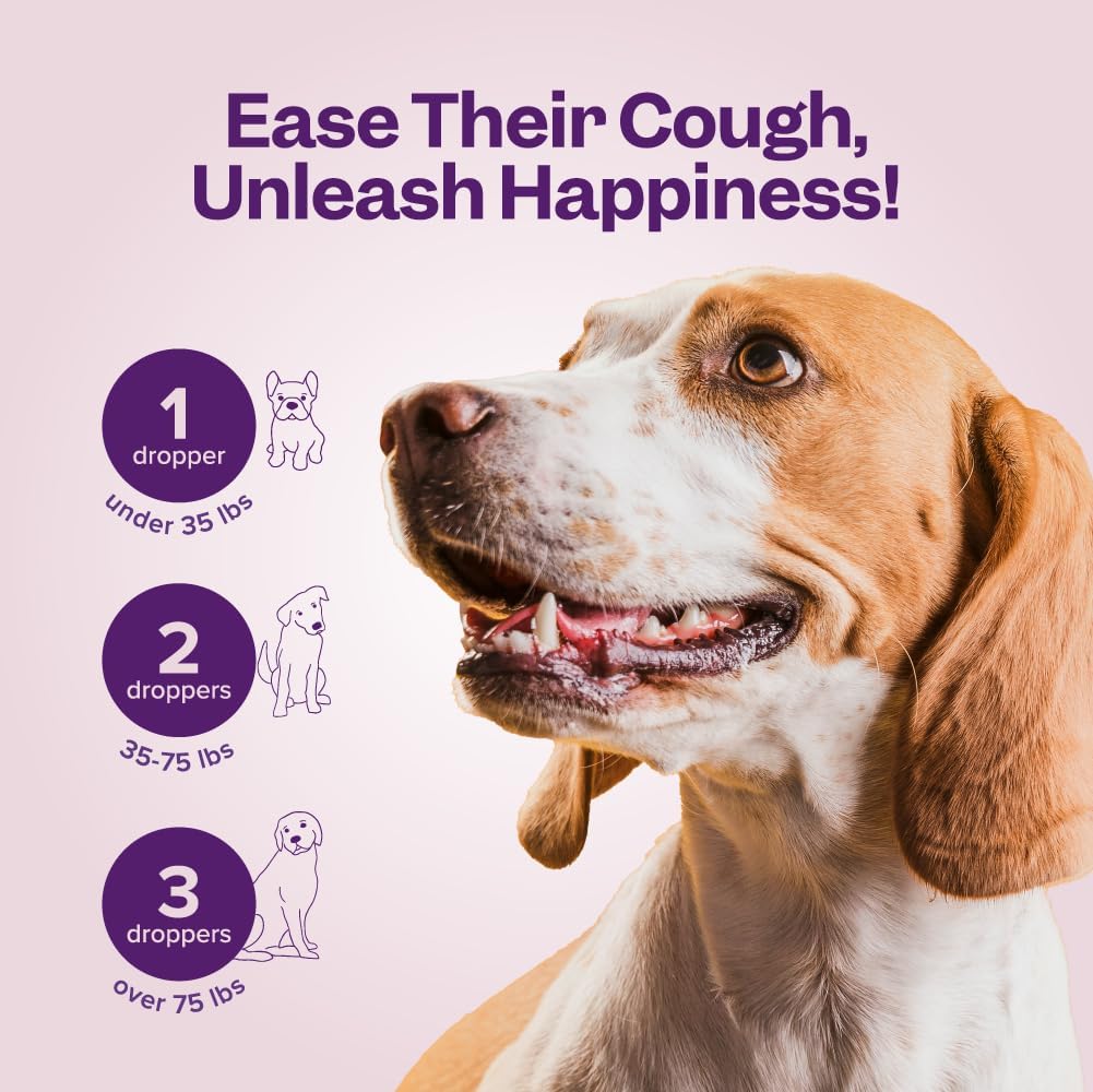 Kennel Cough Treatment for Dogs - Dog Cough Suppressant - Dog Cough Relief - Cough Drops for Dogs Supports Healthy Lungs - Cough Suppressant for Dogs with Echinacea - Kennel Cough Treatment at Home : Pet Supplies