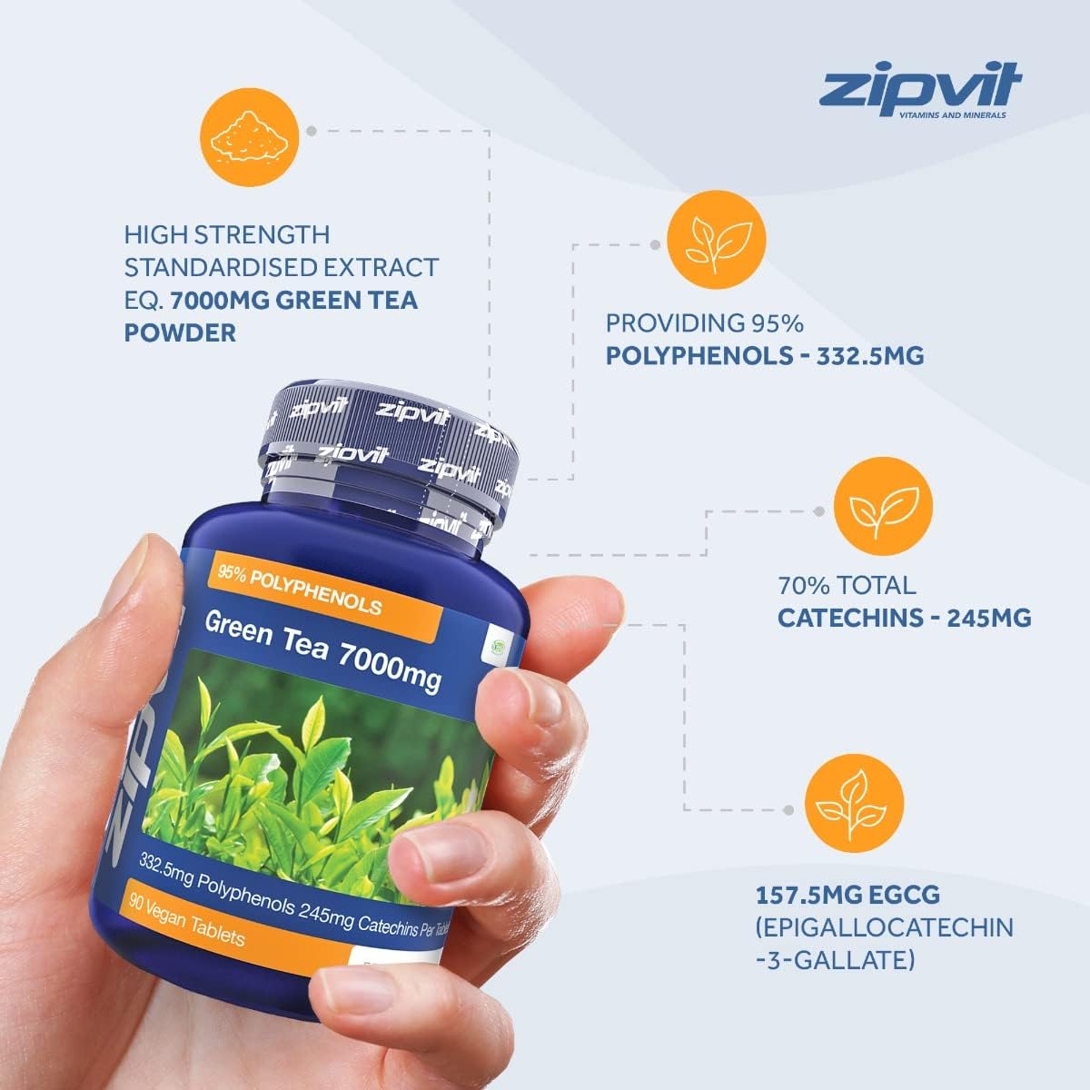Zipvit Green Tea Extract 7000mg Antioxidant, 95% Polyphenols. 90 Vegan Green Tea Tablets. 3 Months Supply. : Amazon.co.uk: Health & Personal Care