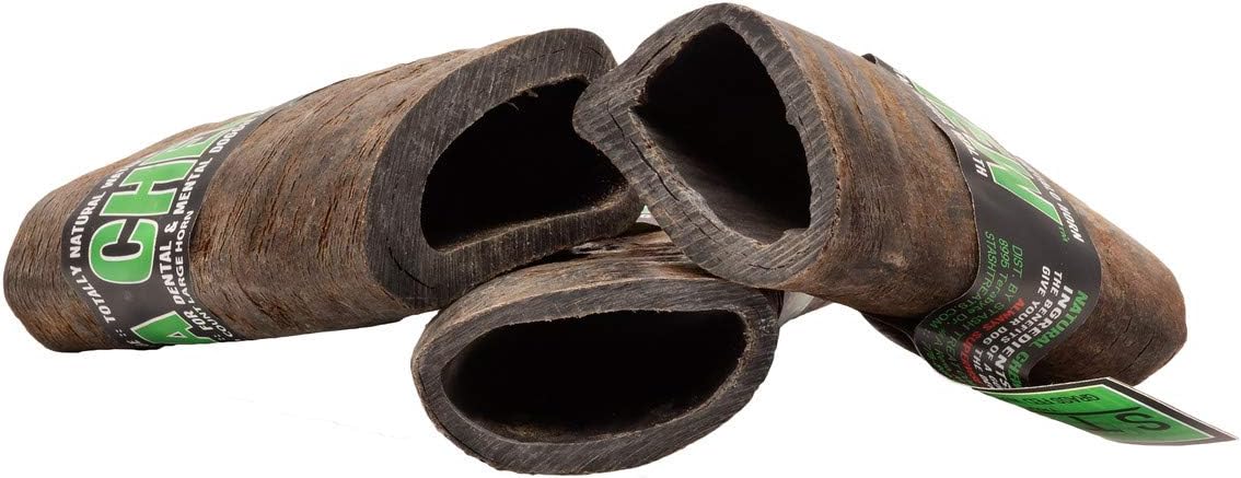 Buba Chew Natural Water Buffalo Horn - Large