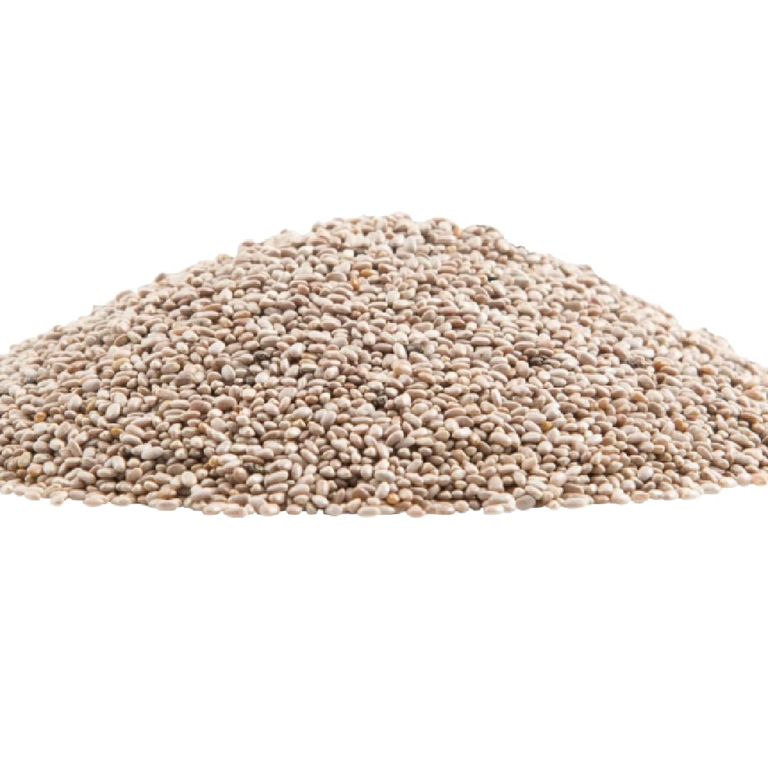 GERBS Raw White Chia Seeds 14oz. Premium Grade | Freshly Harvested & Packaged in Resealable Bulk Bag | Non-GMO, Keto & Paleo Cleared |Great with yogurt, smoothies & oatmeal | Gluten Peanut Free