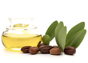Jojoba Oil Premium Jojoba Oil 4 Fl Oz. 100% Pure Organic Cold Pressed Unrefined Best For Hair, Skin, Face & Nails