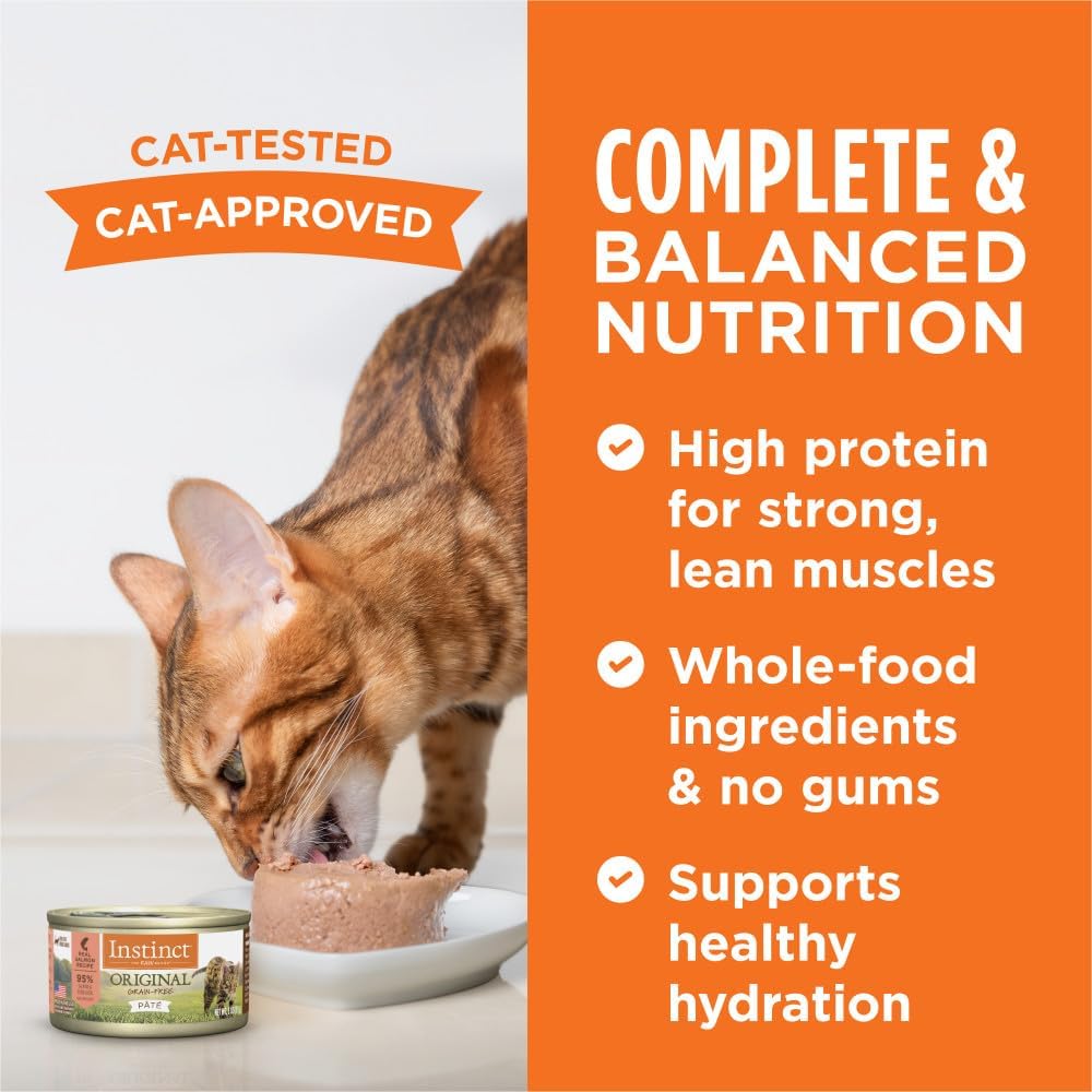 Instinct Original Grain Free Real Salmon Recipe Natural Wet Canned Cat Food by Nature's Variety, 3 oz. Cans (Case of 24) : Canned Wet Pet Food : Pet Supplies