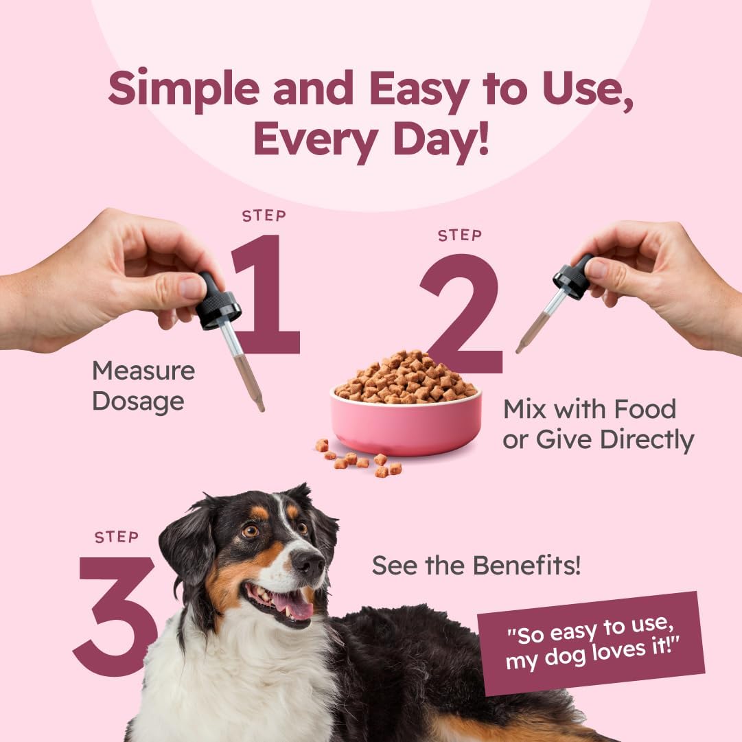 Milk Thistle for Dogs - Liver Support for Dogs - Milk Thistle for Cats - Milk Thistle Liquid - Dog Liver Supplement - Hepato Support for Dogs - Lower Liver Enzymes Naturally : Pet Supplies