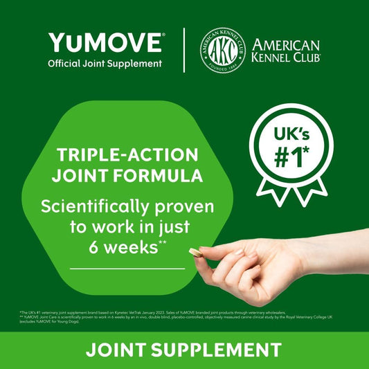 YuMOVE Adult Dog | Joint Supplement for Adult Dogs, with Glucosamine, Chondroitin, Green Lipped Mussel | Aged 6 to 8 | 60 Tablets?YM60