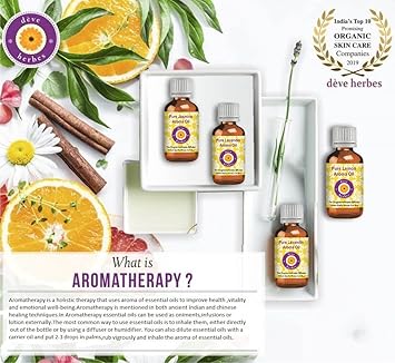 Dève Herbes Rosemary Essential Oil (Rosmarinus Officinalis) With Glass Dropper | Pure | Non-Sticky | Non-Greasy | Lightweight | Men & Women | All Skin Types | Steam Distilled 50Ml (1.69 Oz) : Health & Household