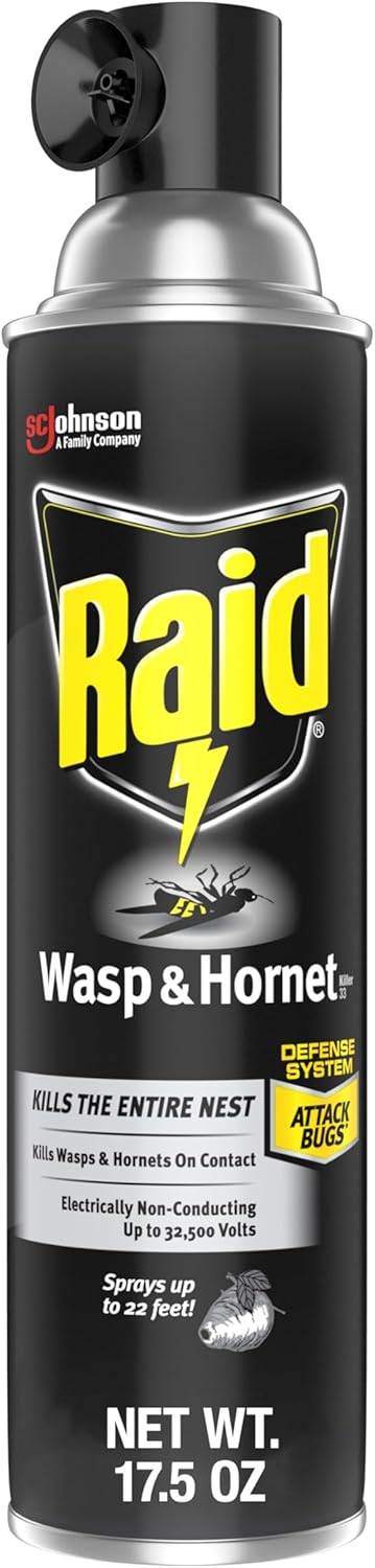 Raid Wasp And Hornet Killer (17.5 Ounce (Pack Of 1))