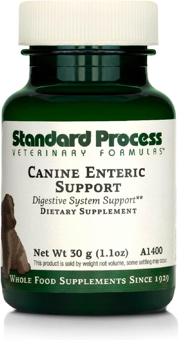 Standard Process Canine Enteric Support - Digestive System Support For Dogs - Nutritional Dog Supplement For Gut Health Support - Canine Supplement Formula To Aid Healthy Digestion - 30 G