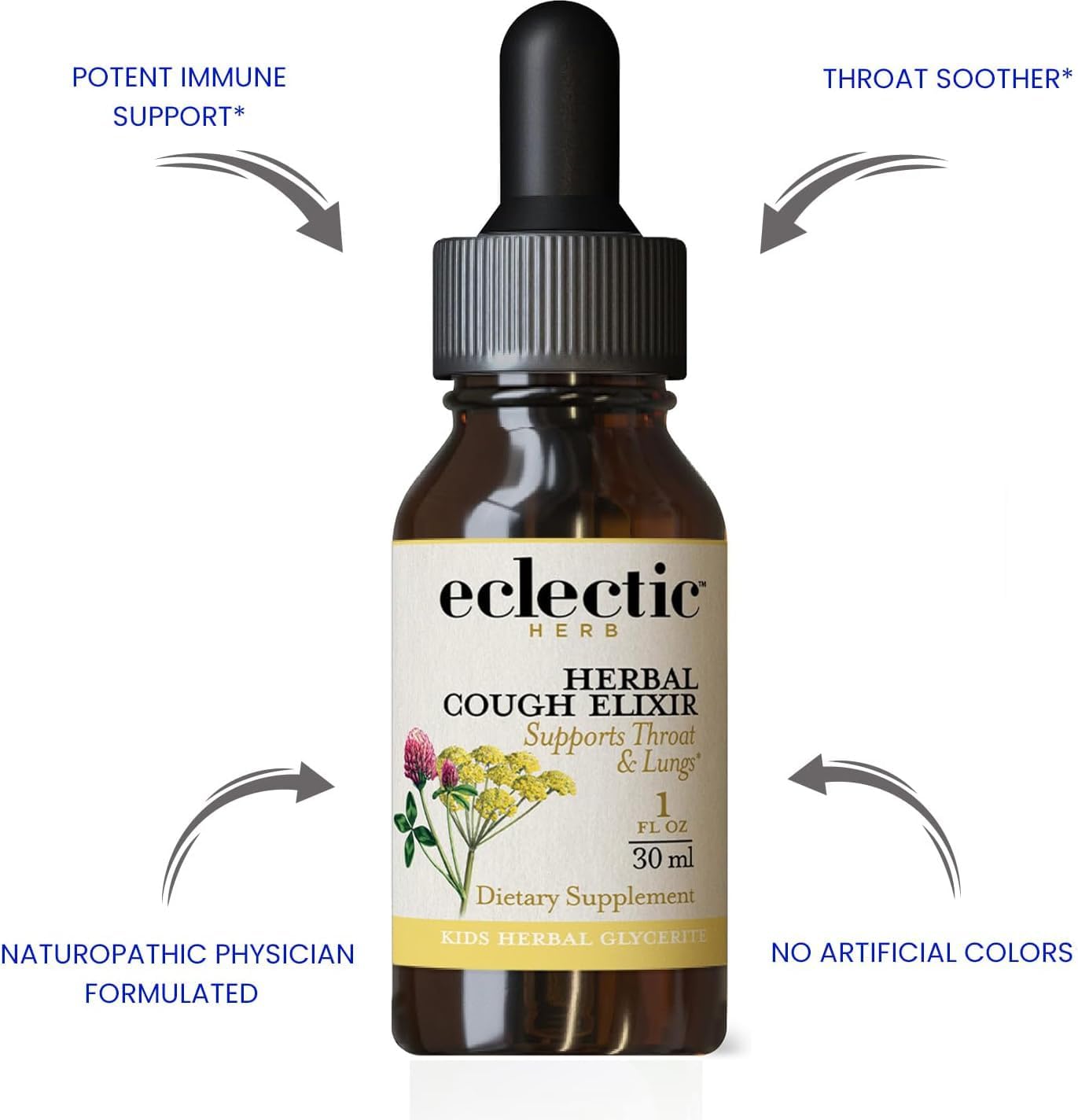 Eclectic Institute Kids, Herbal Cough Elixir, Black Cherry Flavored | Non-Gmo, Gluten-Free | 1 Fl Oz (30 Ml) : Health & Household