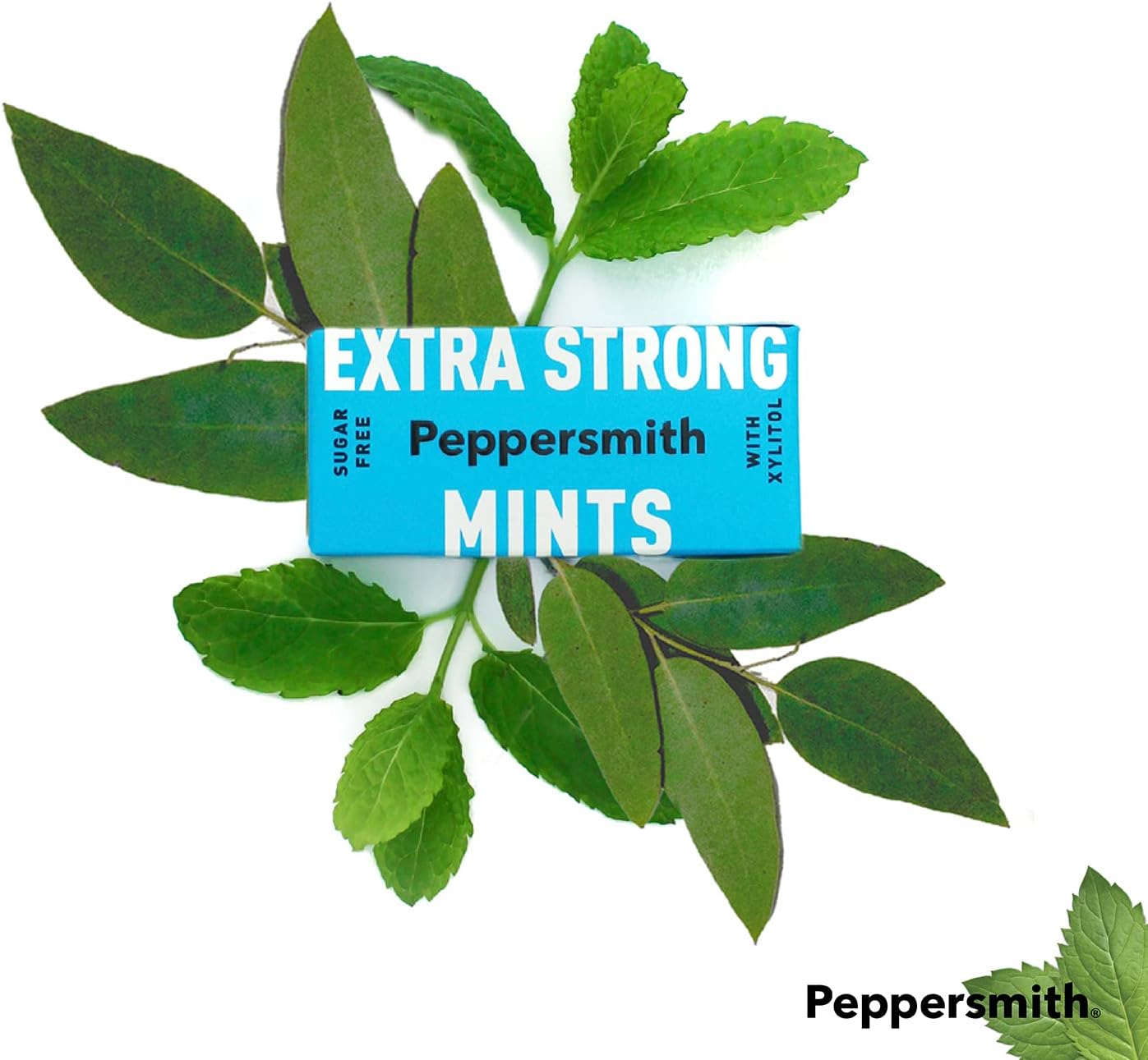 Peppersmith - Extra Strong Mints - Sugar Free Mints - 100% Plant Based Xylitol - Natural Sweetener - Natural Eucalyptus - Freshens Breath - Benefits Oral Health - Pocket Packs - 12x15g : Amazon.co.uk: Grocery