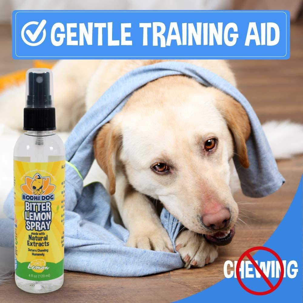 Bodhi Dog Bitter Lemon Spray | Anti Chew Spray for Dogs and Cats | Kitten & Puppy Training Anti Chew Spray | 100% Non Toxic | Made in USA (4oz) : Bodhi Dog : Pet Supplies